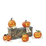 Department 56 Pumpkin Heads, Set of 5
