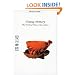 Yixing Pottery: The World of Chinese Tea Culture (Arts of China)
