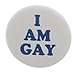 A&T Designs Unisex - I Am Gay 1.25