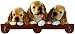 cocker spaniel - Cocker Spaniel Calendar Caddy 2008