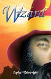 Wizard: The Novice's Quest