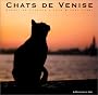 Chats de Venise