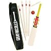 Buy Cricket Sets - Gray-Nicolls T20 Cricket Set Size 6