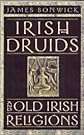 Irish Druids and Old Irish Religions