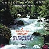 Sounds of Nature: A Sun Filled Stream