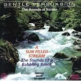 SoundsofaSunFilledStream
