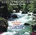 Sounds of Nature: A Sun Filled Stream
