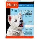 Hartz Advanced Care 2 in 1 Flea & Tick Collar for Dogs with Necks to 20-Inches - White - 1 collar [0.85 oz (24 g)]