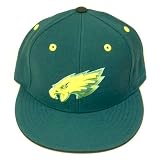 PHILADELPHIA EAGLES FLAT BILL GREEN HAT CAP FIT 7 1/2