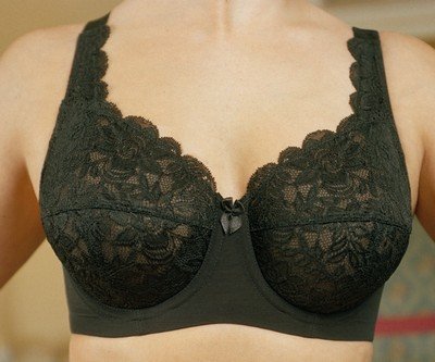 41AYF1NERDL Elila Full Coverage Stretch Lace Underwire Bra Style 2311