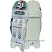Sporting Goods : Batting Leg Guards : SG Aerolite