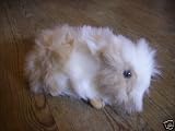 Guinea pig/Hamster Cuddly Squeaky Furry Soft Toy Cream and White