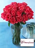 Mercy Corps Charity Bouquet, Eco-Friendly - Veriflora Certified, Pink Striped Rose Bouquet