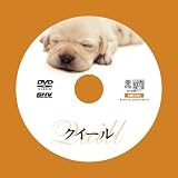 �������� [DVD]