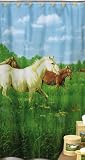 Prairie Meadow Shower Curtain With Rings (Running Horses)