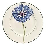 Villeroy and Boch Flora Cornflower Salad Plates, Set of 6 by