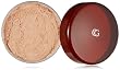 CoverGirl Professional Translucent Face Loose Powder Translucent Light(N) 110, 0.7-Ounce Shaker top jar (Pack of 2)