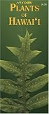 Plants of Hawaii (Hawaii Pocket Guides) (Hawaii Pocket Guides)