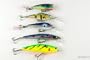 Lot of 5 New Crankbait Fishing Lures for Largemouth Bass AA