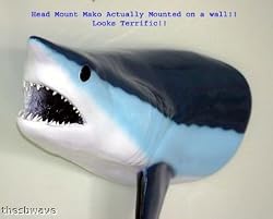 Giant Taxidermy Mako Shark Head Fiberglass Wall Mount