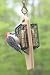 Birds Choice Double Cake Hanging Suet Feeder