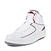 Nike AIR JORDAN 2 RETRO Mens Sneakers 385475-153