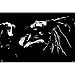 Bob Marley - Poster Black and White von Bob Marley - alle Infos
