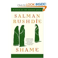 Shame: A Novel