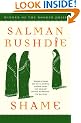 Shame: A Novel