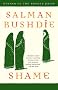 Shame: A Novel