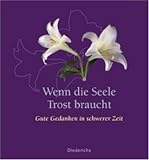 Wenn die Seele Trost braucht - Gute Gedanken in schwerer Zeit - kein Autor