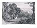 Philosophers Consider the Meaning of Life in the Grove of Academe Art Giclee Poster P...