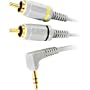 Sony VMC-N220DP AV Mini to Phono (RCA) with 2 Meter Cable