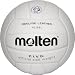 Sports : Molten Volleyball VL 58L