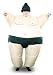 Electronics : Inflatable Sumo Costume