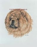 Chow Chow - Portrait by Cindy Farmer