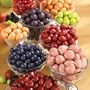 Premium Chocolate Dipped Fruit Assortment Drum Gift Set - 44 Oz.