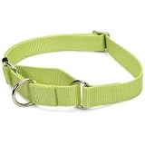 No Slip Limited Closure Collar Lime 14 to 20 Inch