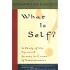 What is Self?: A Study of the Spiritual Journey in Terms of Consciousness