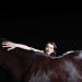 My Brightest Diamond-BRING ME THE WORKHORSE [Vinyl]