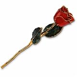24kt Gold Trimmed Lacquered Real Red Rose