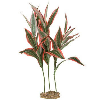 PETCO Silk Song of India Background Aquarium Plant