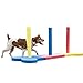 Agility Slalom - Dog play & exercise toy