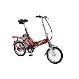 iZip EzGo Electric Folding Bicycle
