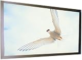 Draper 253374 M1300 119-Inch Onyx Premium 58-Inch X 104-Inch Fixed HDTV Screen (White)