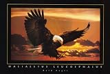 (24x36) Bald Eagle (Sunset) Art Poster Print