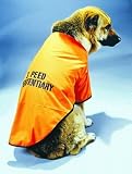 Pet Costume I Peed Penitentiary