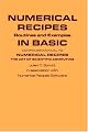 Numerical Recipes Routines and Examples in BASIC (First Edition)