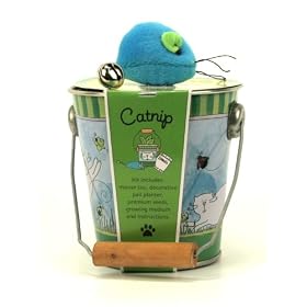 Catnip Garden Planting Kit and Cat Toy from Cat Toys