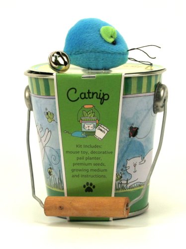 Catnip Garden Planting Kit and Cat Toy